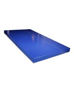 Plastic panel 51-1000x 550 ultramarine
